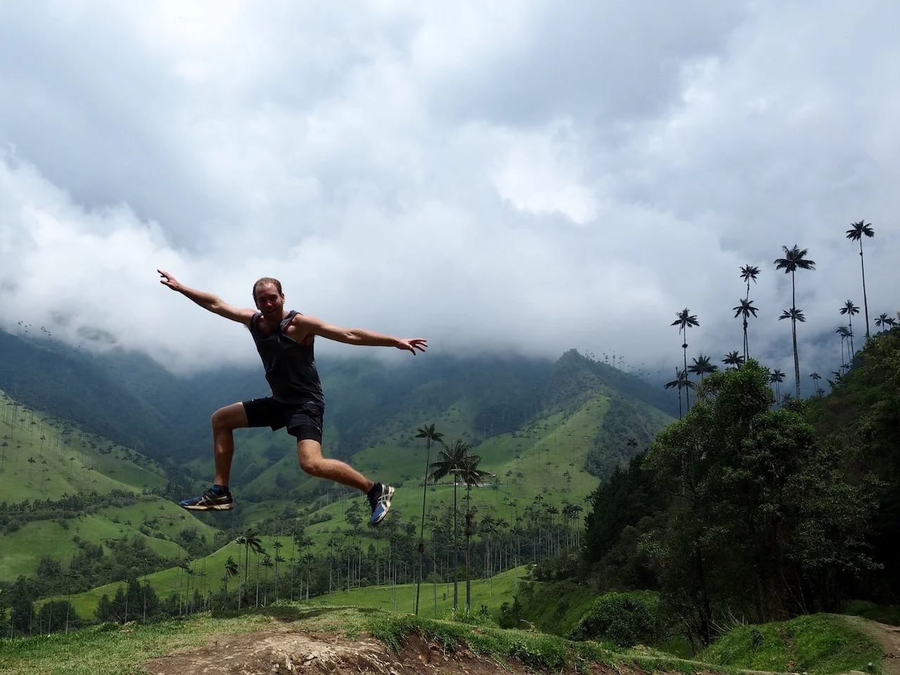 Jumping around in the palms. Palms litter the valley literally as far as the eye can see. The longer route brings you down above the valley, letting you enjoy all the area has to offer!