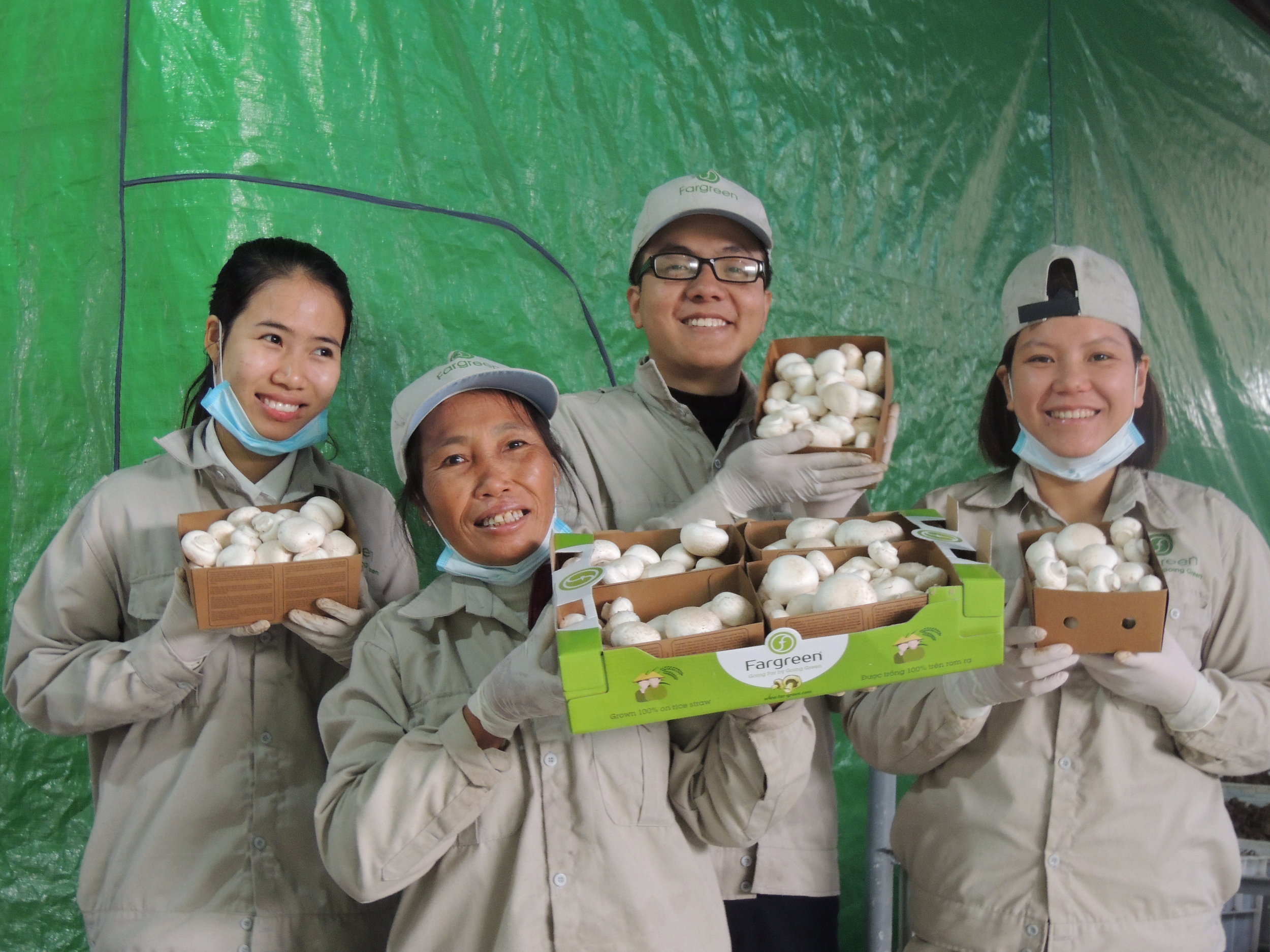Launching the mushroom products 