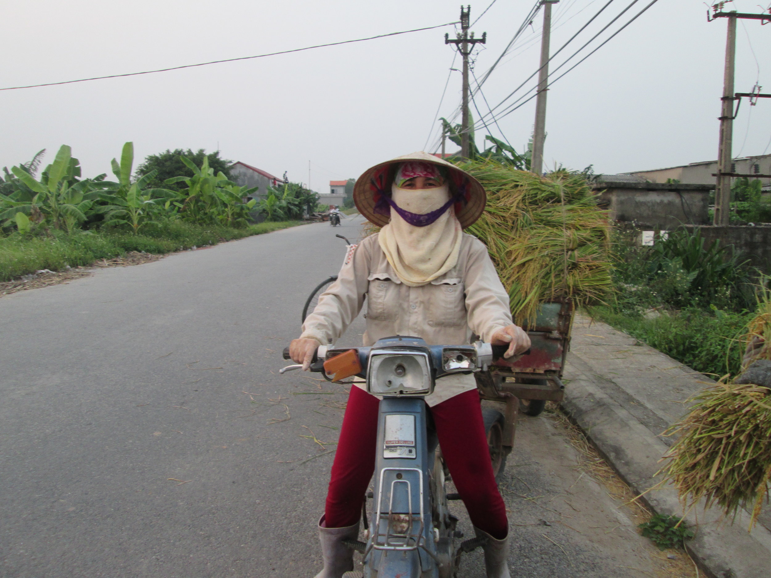 Hien Tran transporting rice straw for Fargreen