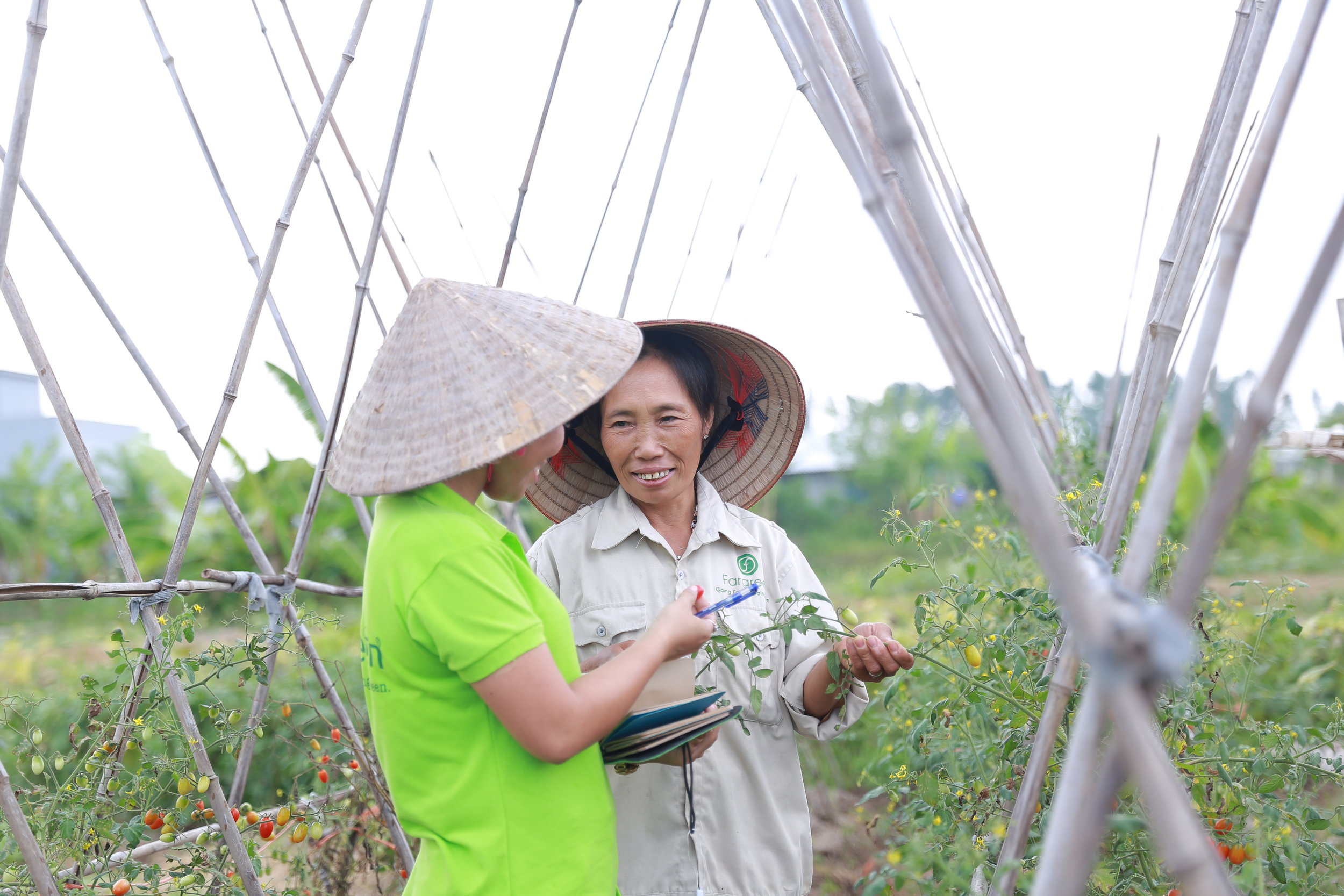 Gạo và Rau củ lành