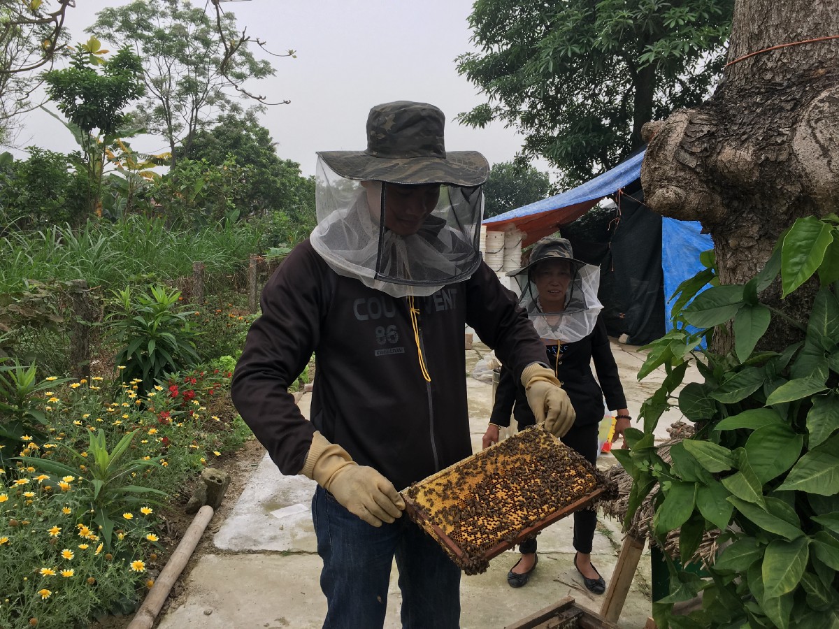 honey making 1.jpeg