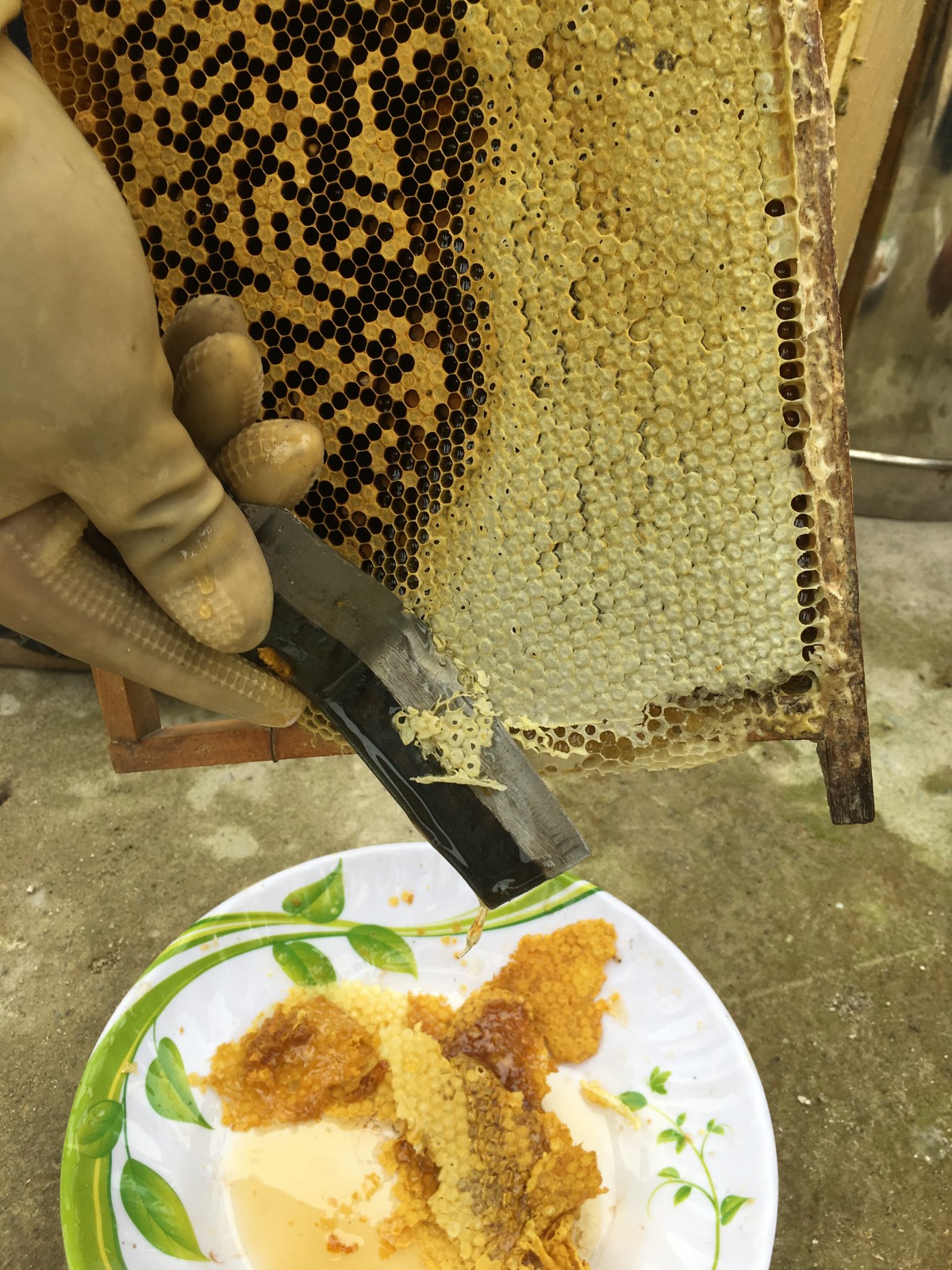 honey making 4.jpeg