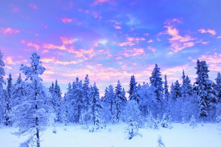 lapland.jpg