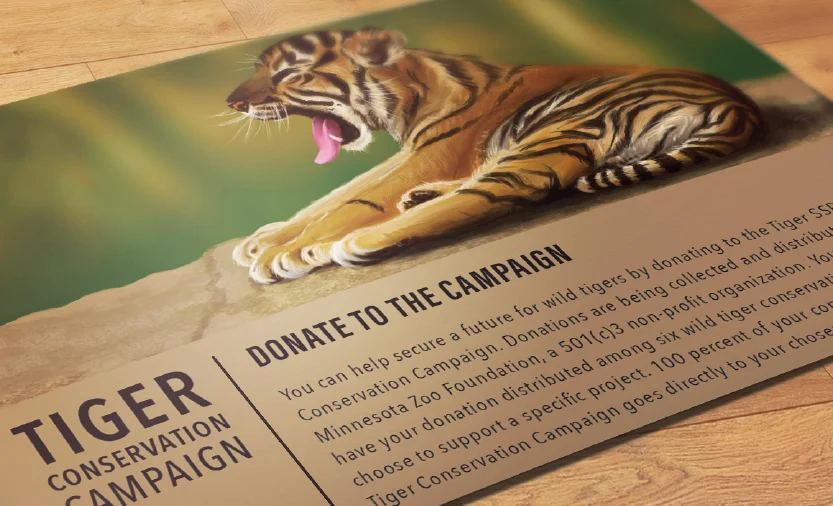 TigerConservationCampaign_01.jpg