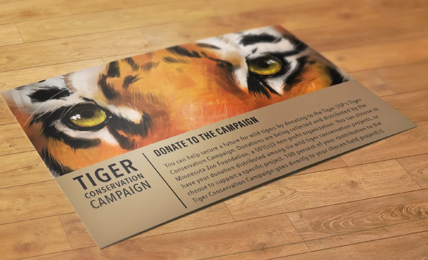 TigerConservationCampaign_02.jpg