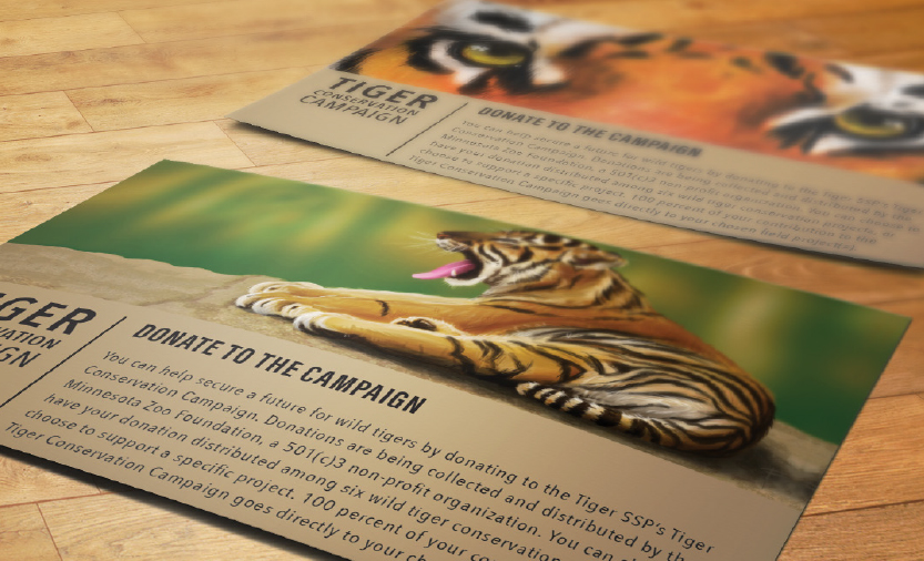 TigerConservationCampaign_03.jpg