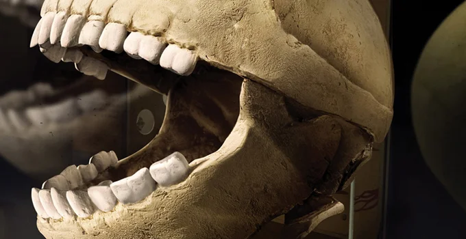 Outcast Reportage: IVDC 2012