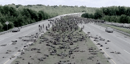 Oddio, ho sbagliato serie.