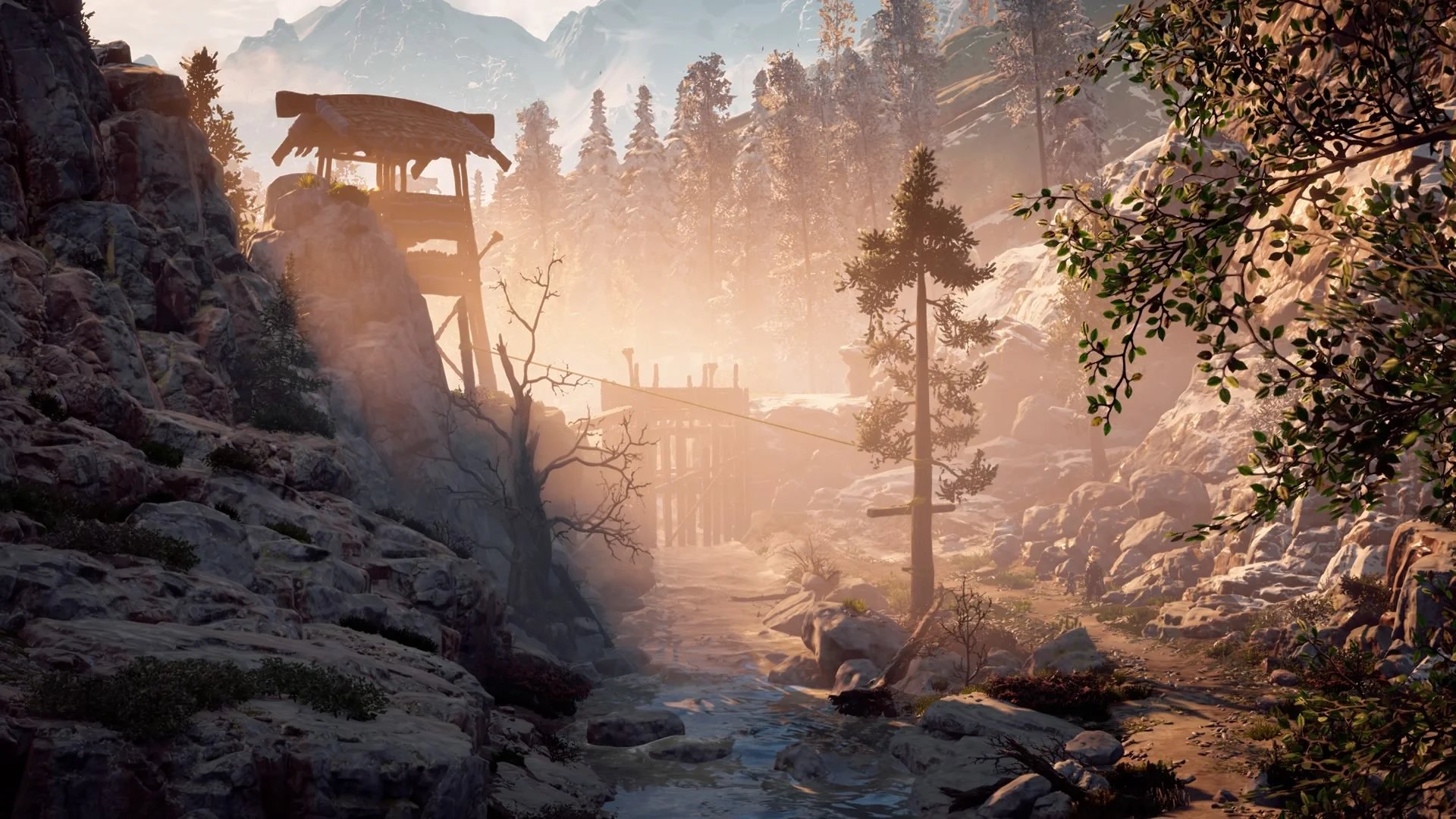 Horizon Zero Dawn™_20170317130851.jpg
