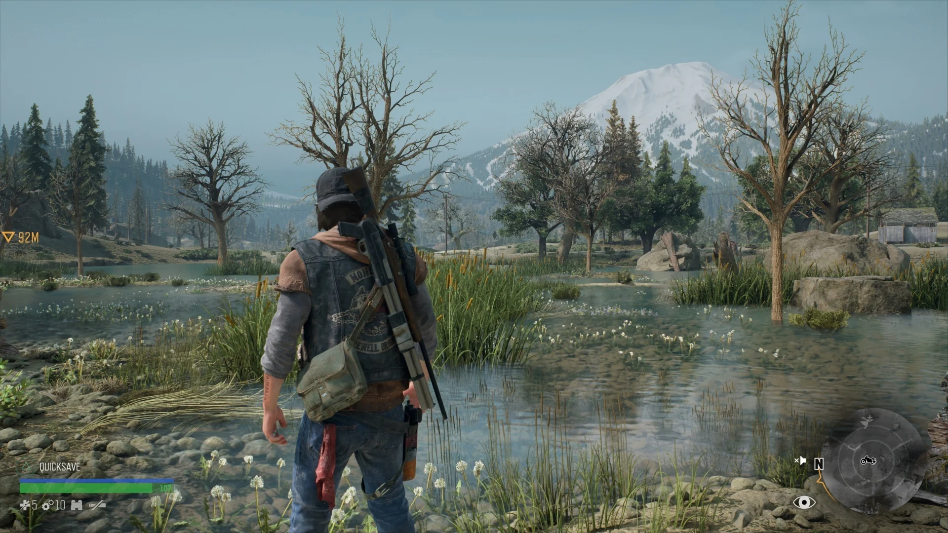 Days Gone, oltre le decadenti ambientazioni urbane, sa regalare paesaggi bucolici di indubbio fascino.
