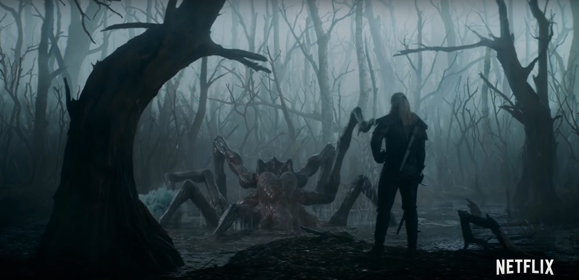 Il teaser culmina con una sequenza veramente epica, un Geralt immobile con tanto di spada d’argento sguainata che attende pazientemente l’emergere di una gigantesca creatura aracnoforme… si tratta di una Kikimora? O una Anfisbena… sembra una battaglia impari.