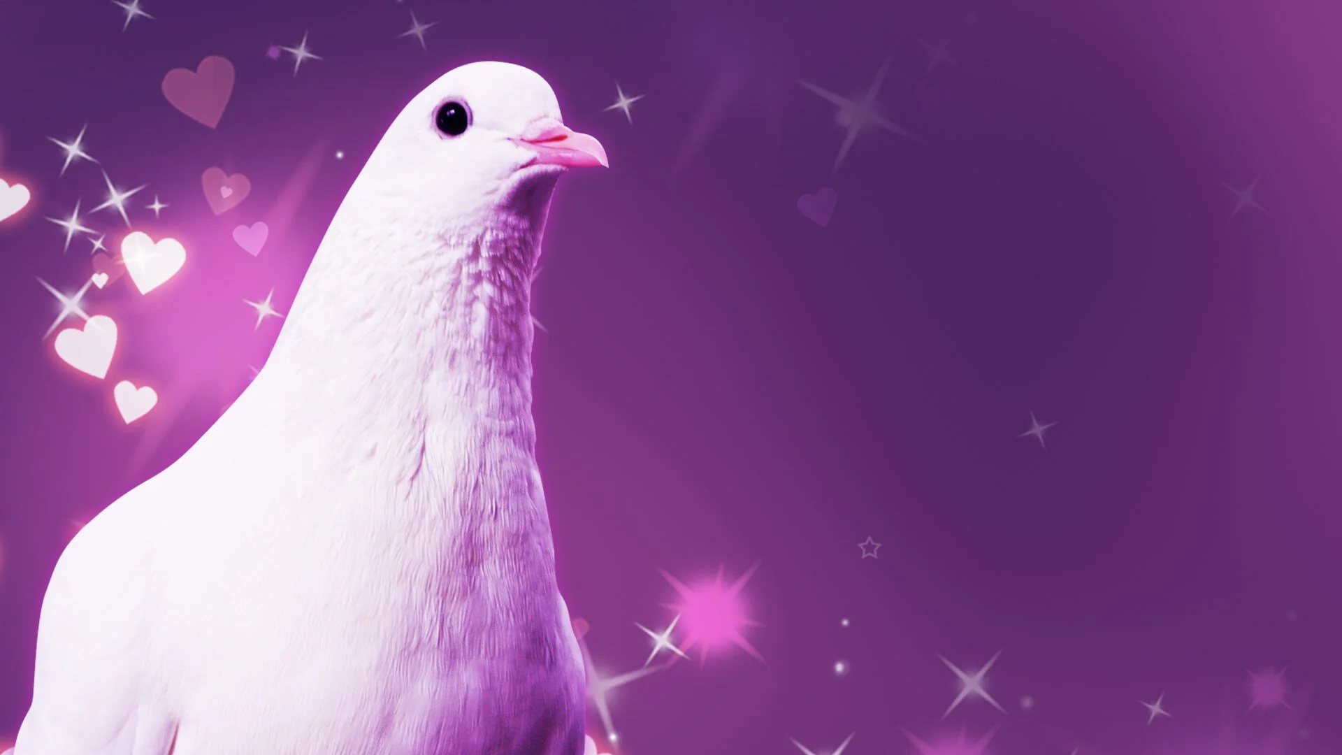 Hatoful Boyfriend mi ha tappato un buco