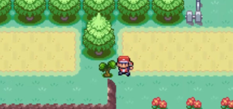 00-featured-pokemon-frlg-cutting-tree-screenshot-750x350.jpg