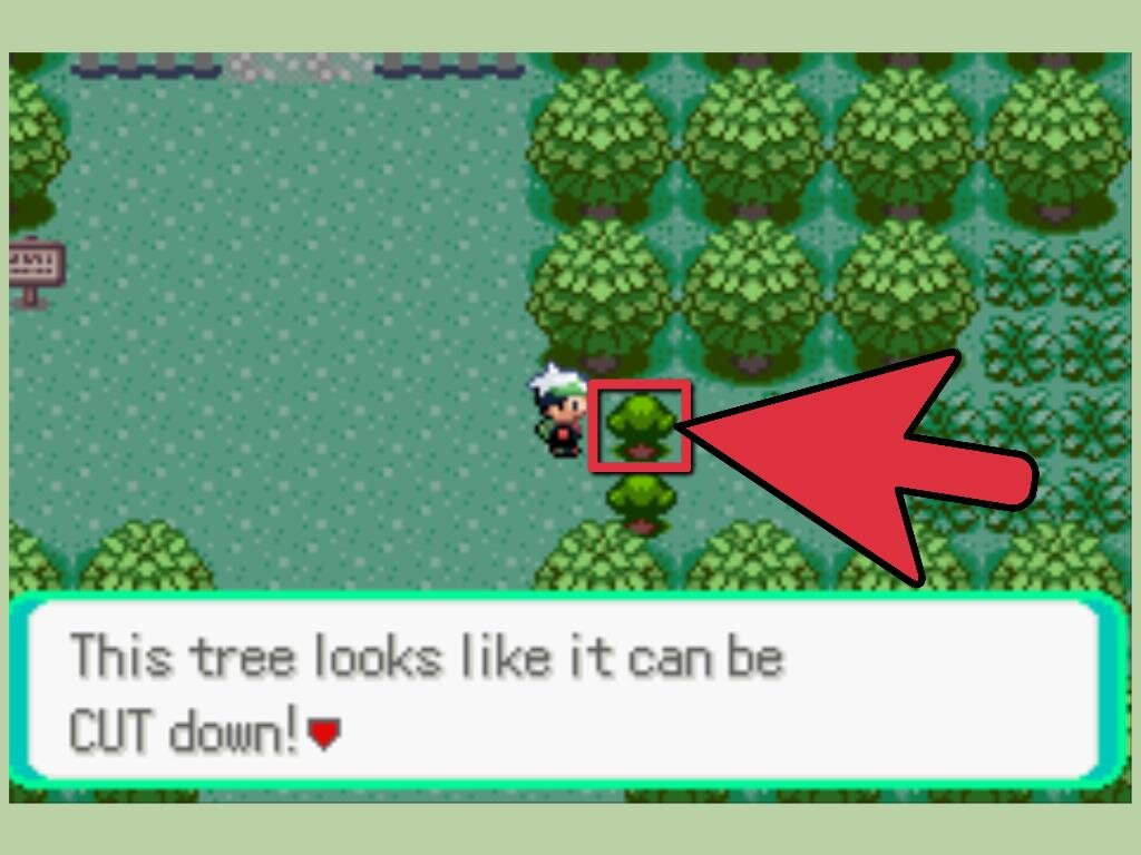 Get-Cut-in-Pokemon-Emerald-Step-4-Version-2.jpg