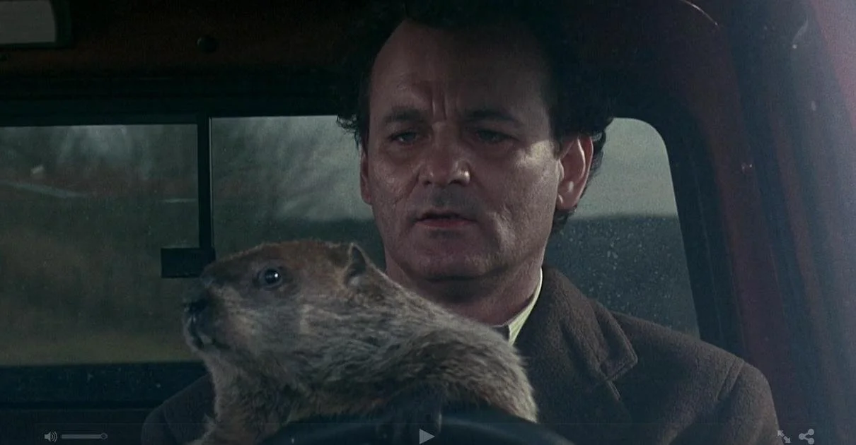 Marmotta's Mask: A Link to Bill Murray
