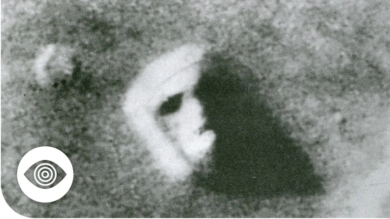 moon face.jpg