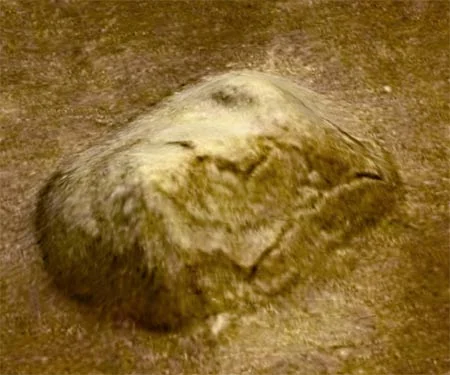 moon face 1.jpg