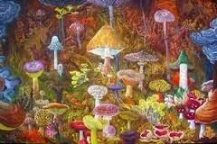 Выписку наркотических средств пациентам упростят