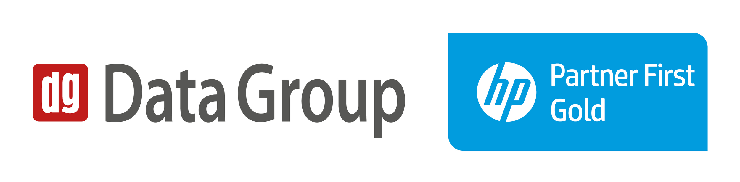 Data Group HP Partner First Gold lockup.jpg