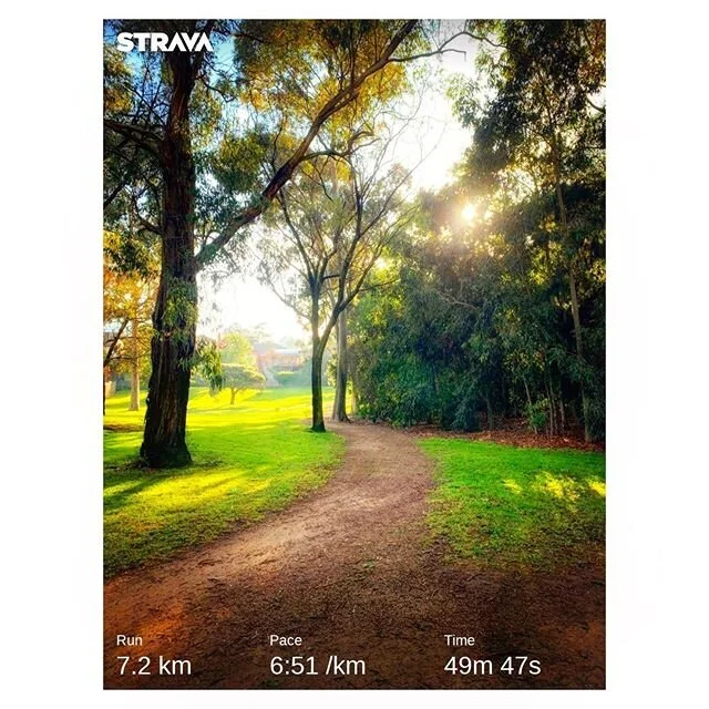 Beautiful morning (when mind says it is a bad idea to go for a run) 🏃🤛