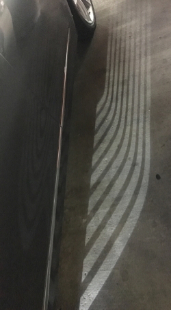 The "light curtain" welcomes you back.