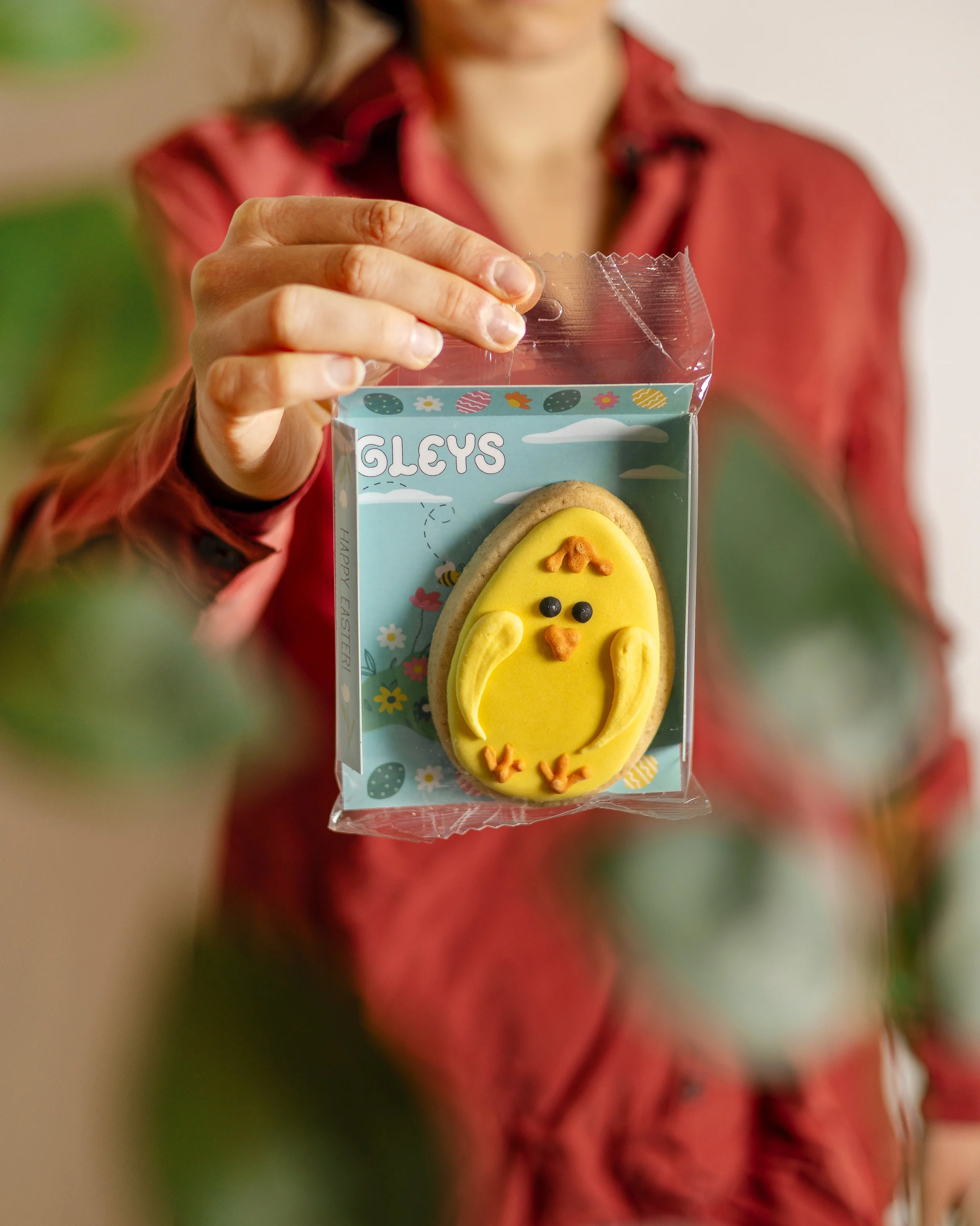 Gleys-1.jpg