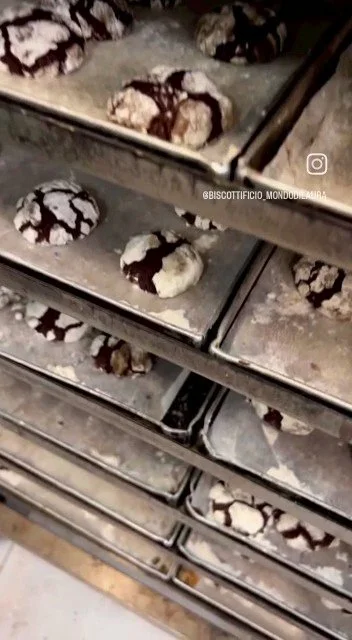 WhatsApp Video 2023-05-15 at 14.24.49_Moment.jpg