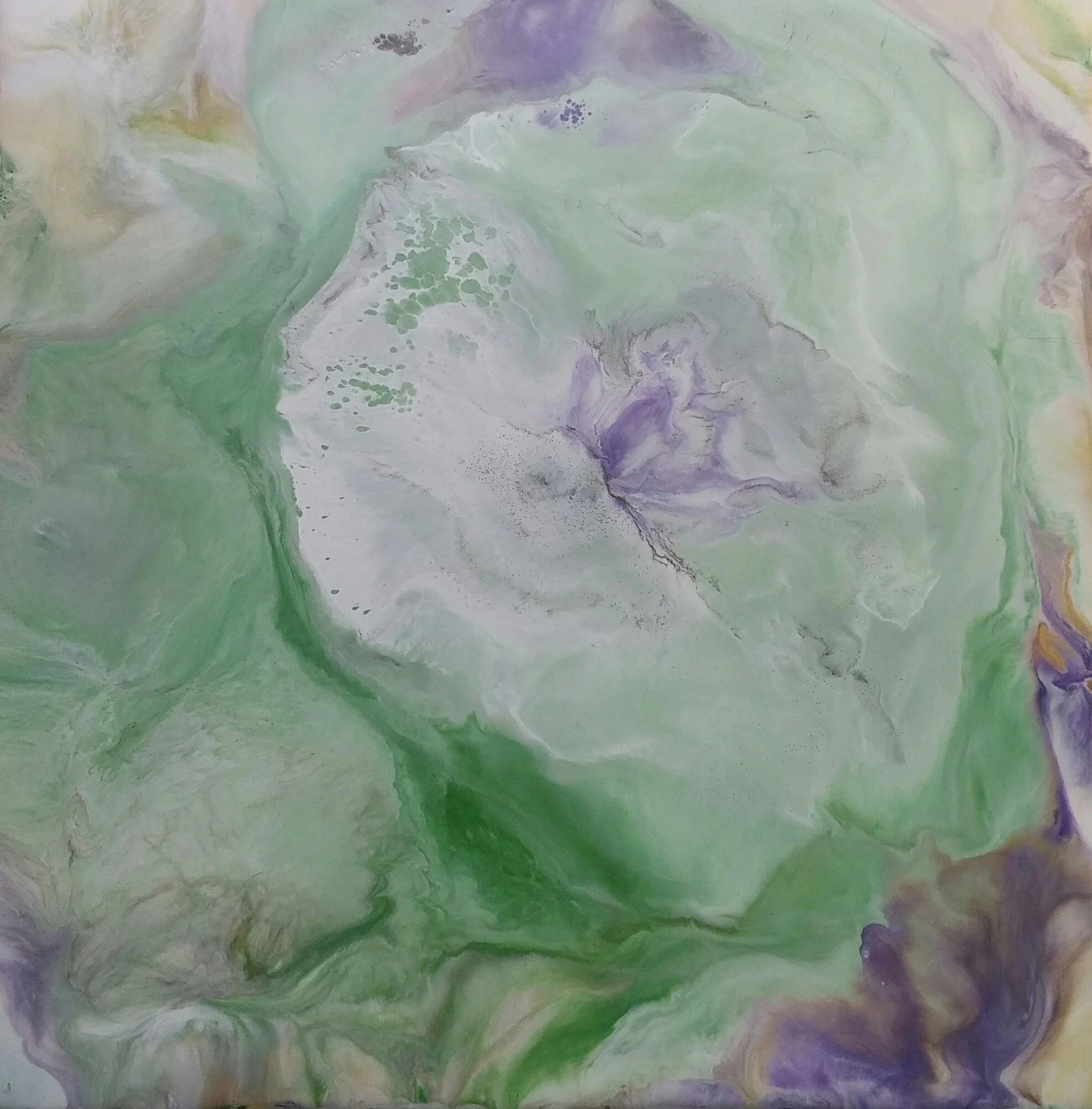 Butterfly Blossom Encaustic on board, 12x12  at Long River Gallery: https://www.longrivergallery.com/ 