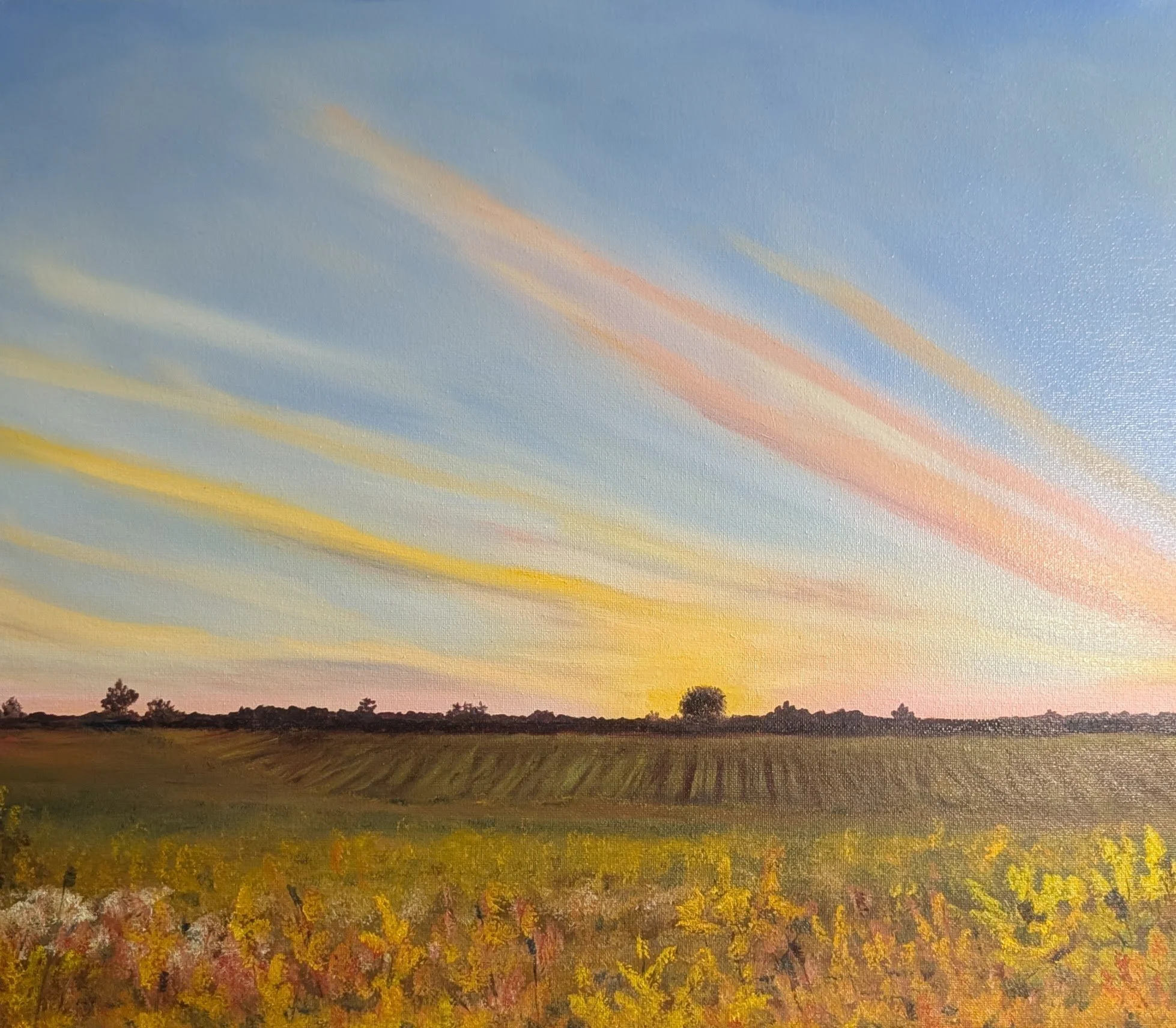 Sunrise across late summer fields
oil on canvas, 16x20
 https://www.longrivergallery.com/