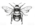 Bee.png