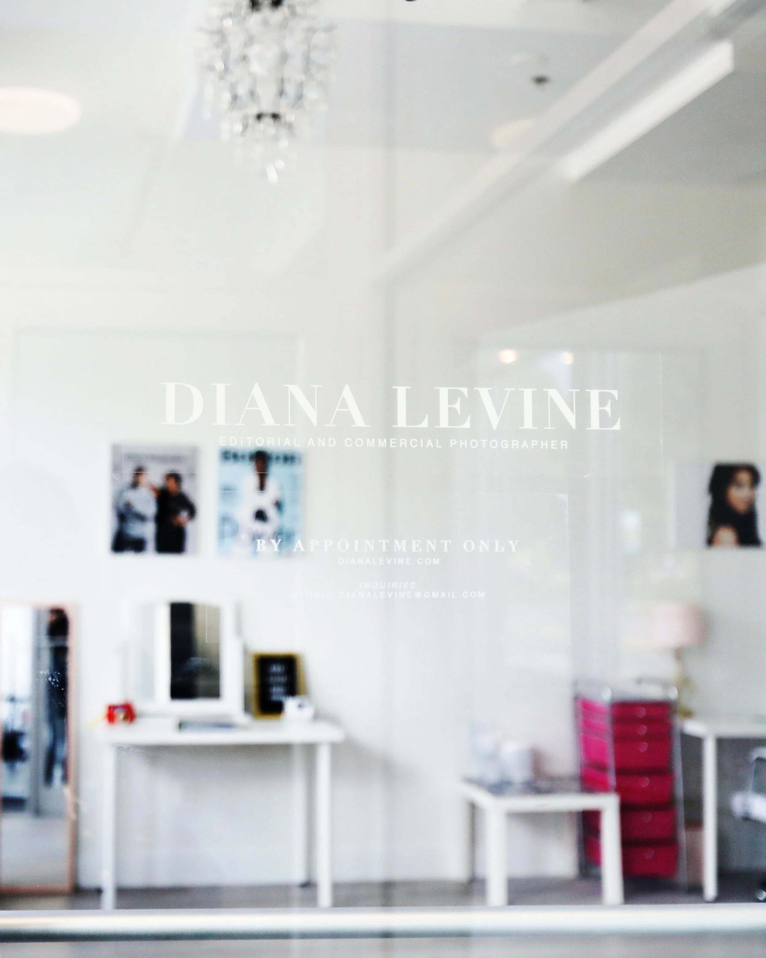 DianaLevine_Studio_-3823-2.JPG