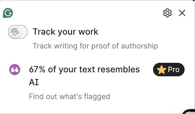 Essay written by the author Kellie Adkins in June 2016 flagged as AI generated