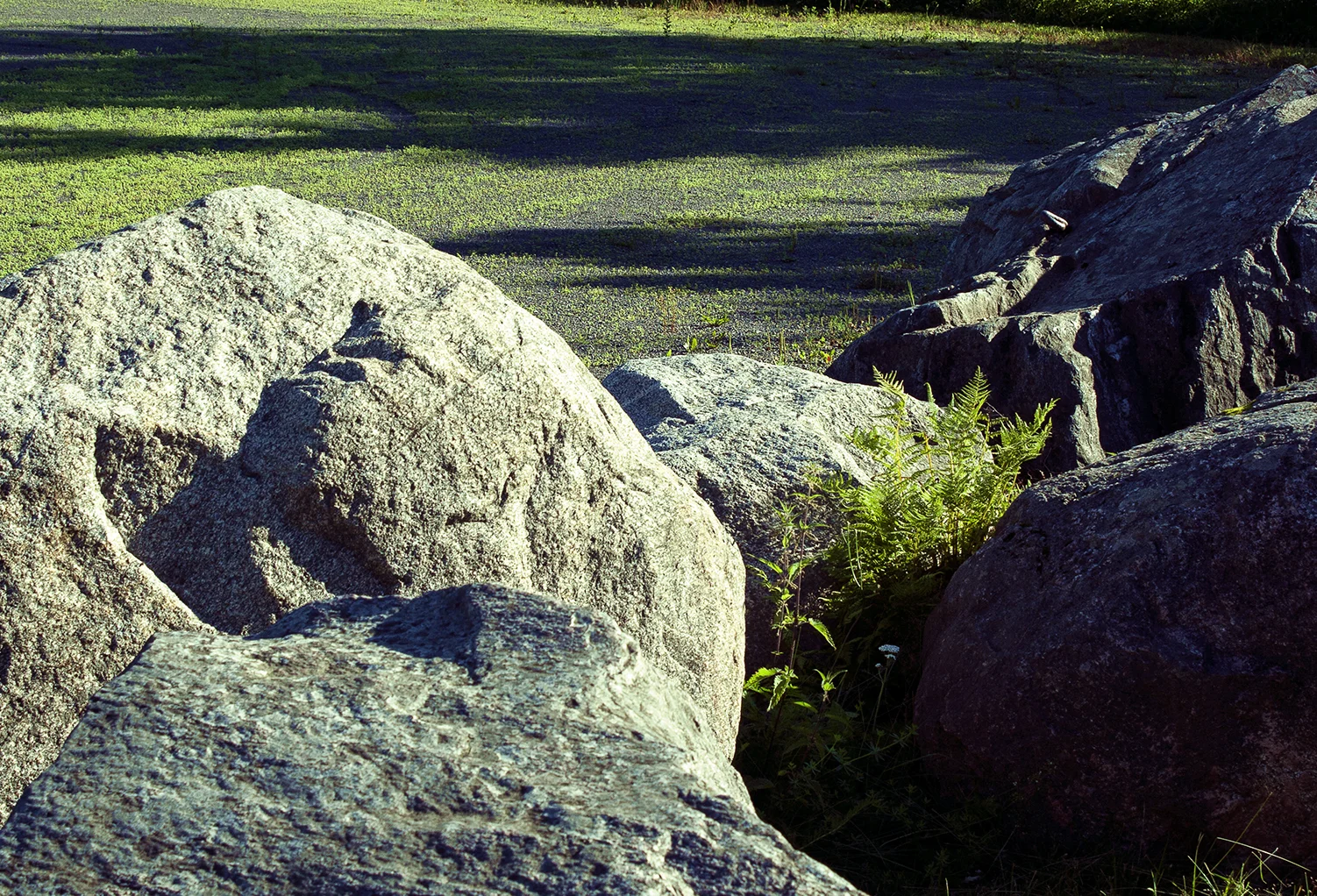 rocks.jpg