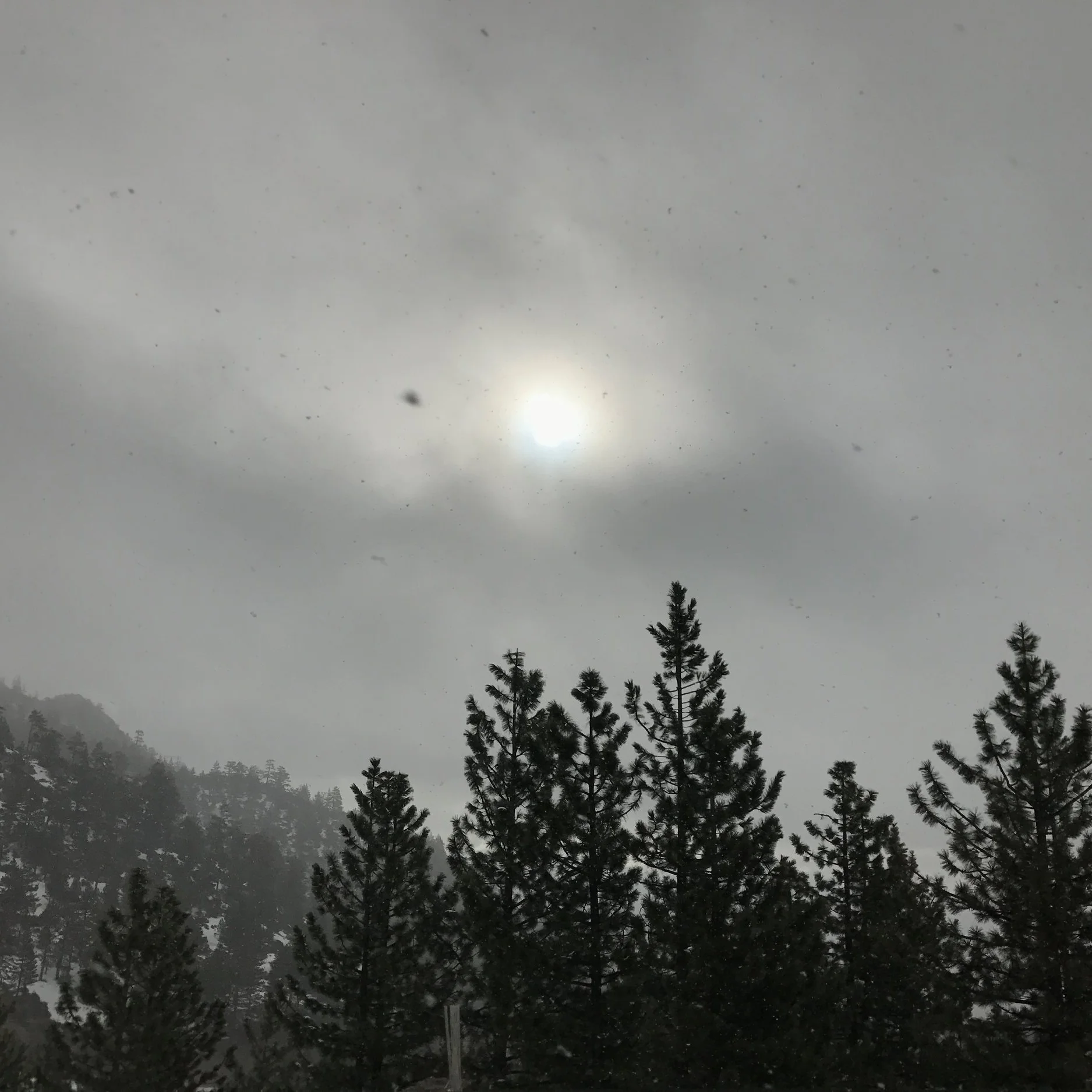 Finland, Lammi - Rohatsu Sesshin with Karen Terzano