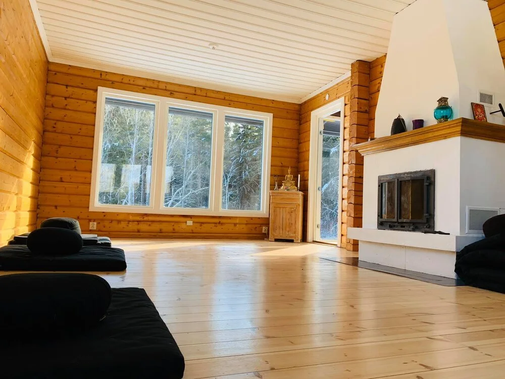 Sweden - Järbo, sesshin with Karen Terzano and Joakim Rzpeka 