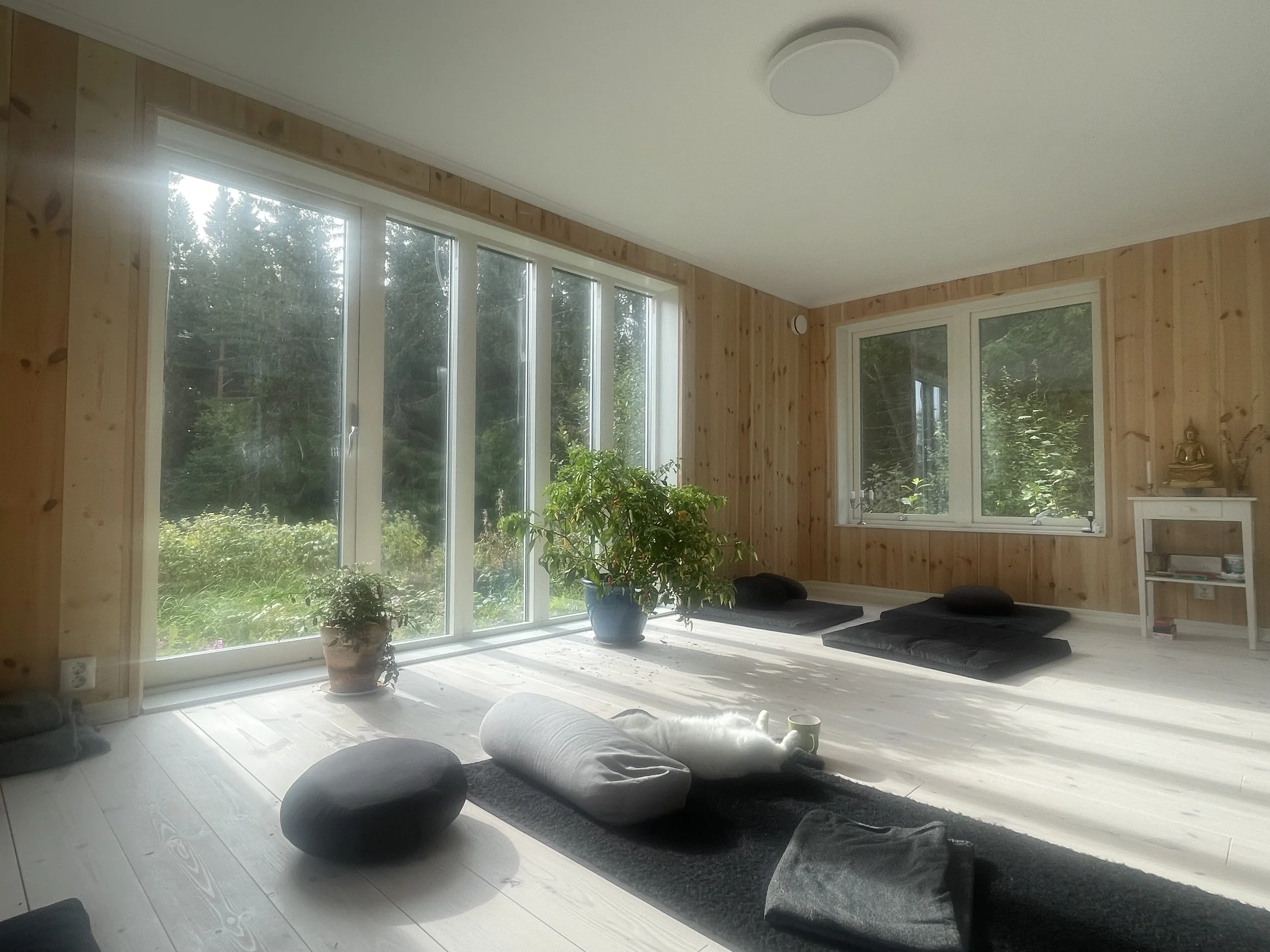 Sweden, Järbo — Dogens Way & Feldenkrais retreat