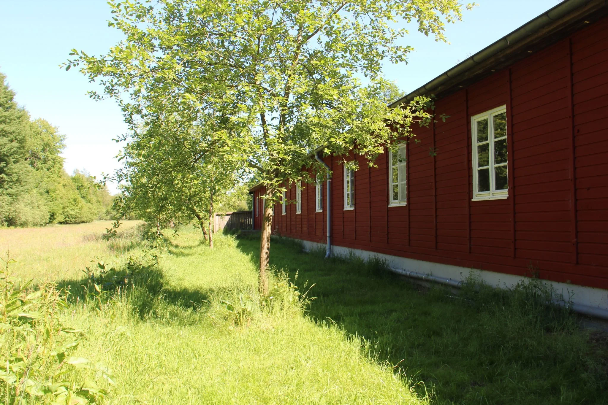 Germany, Near Hamburg, 7 Day Sesshin with Karen Terzano 