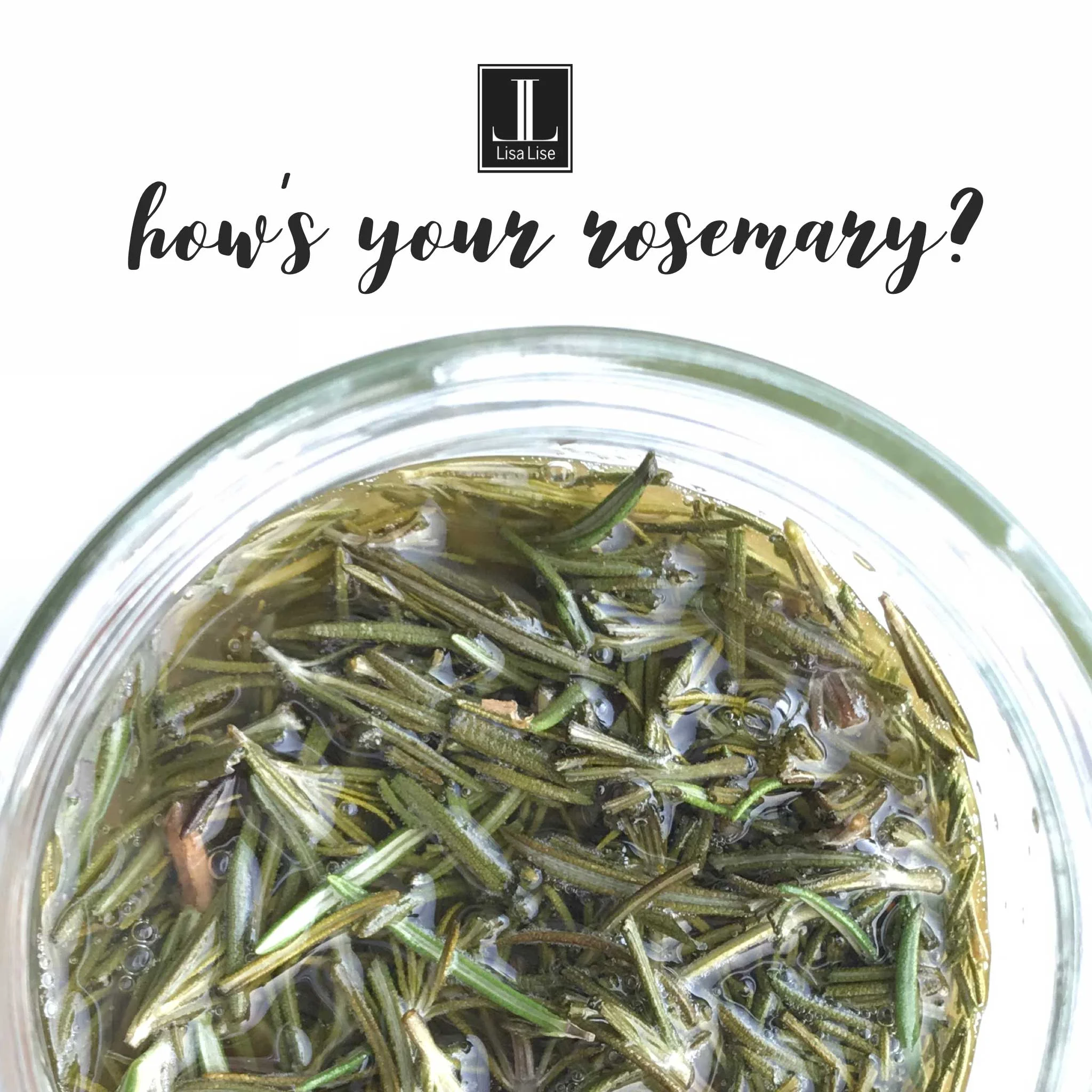 LisaLiseHOWSYOURROSEMARY.jpg