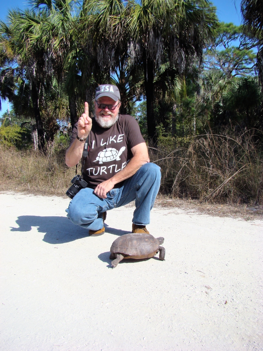 George L. Heinrich with the first turtle of The Big Turtle Year, an adult female gopher tortoise ( Gopherus polyphemus ) at Boyd Hill Nature Preserve (St. Petersburg, Florida). Photograph by Andrew Farren.