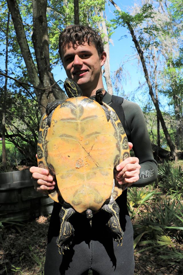 TBTY partner Andrew Farren holding a female Suwannee cooter ( Pseudemys concinna suwanniensis ), the sixth species of The Big Turtle Year, at Ichetucknee Springs State Park (Columbia County, Florida). Photograph by George L. Heinrich.