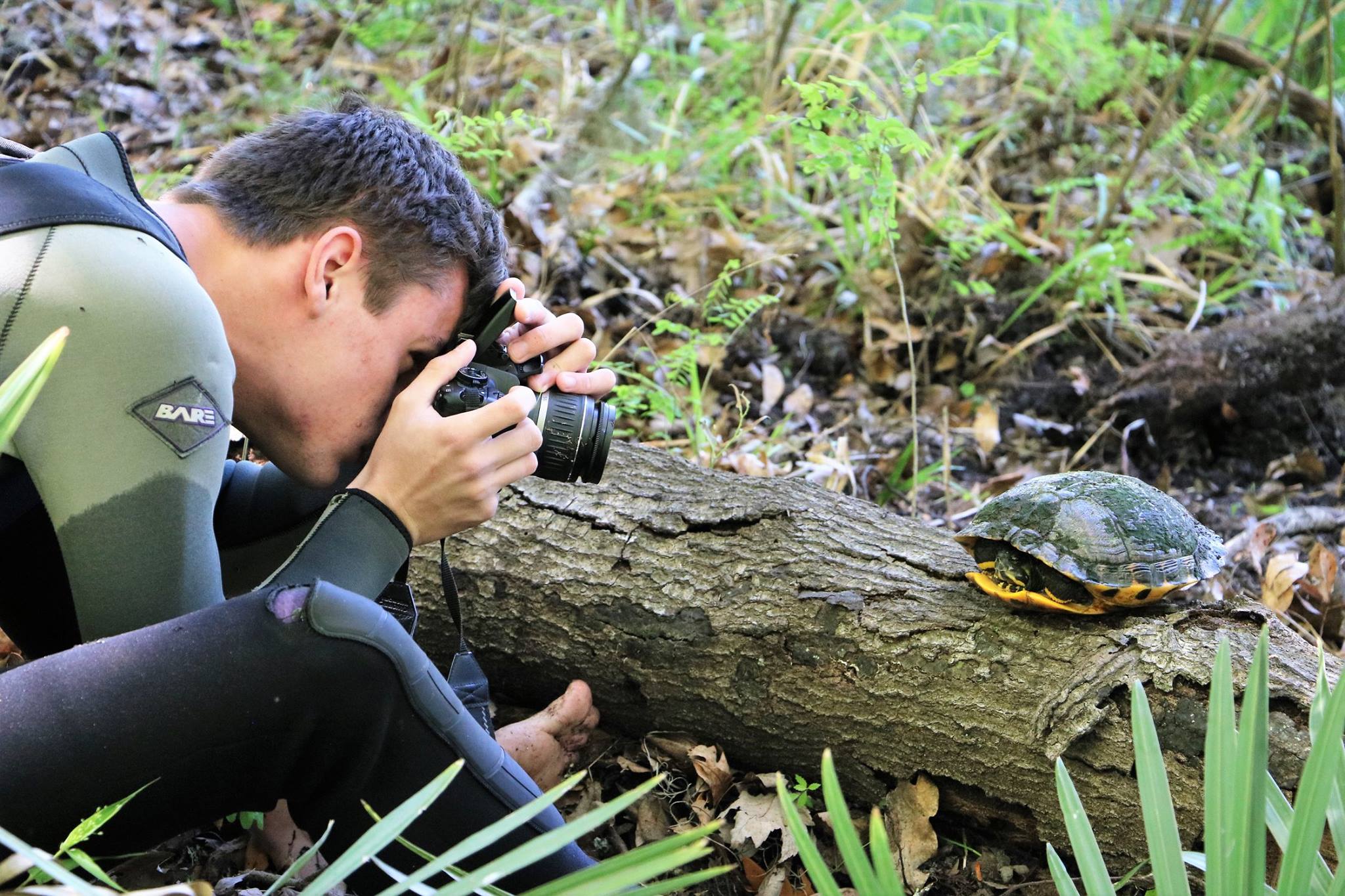 TBTY partner Andrew Farren photographing an adult female yellow-bellied slider ( Trachemys s. scripta ) at Ichetucknee Springs State Park (Columbia County, Florida). Photograph by George L. Heinrich.