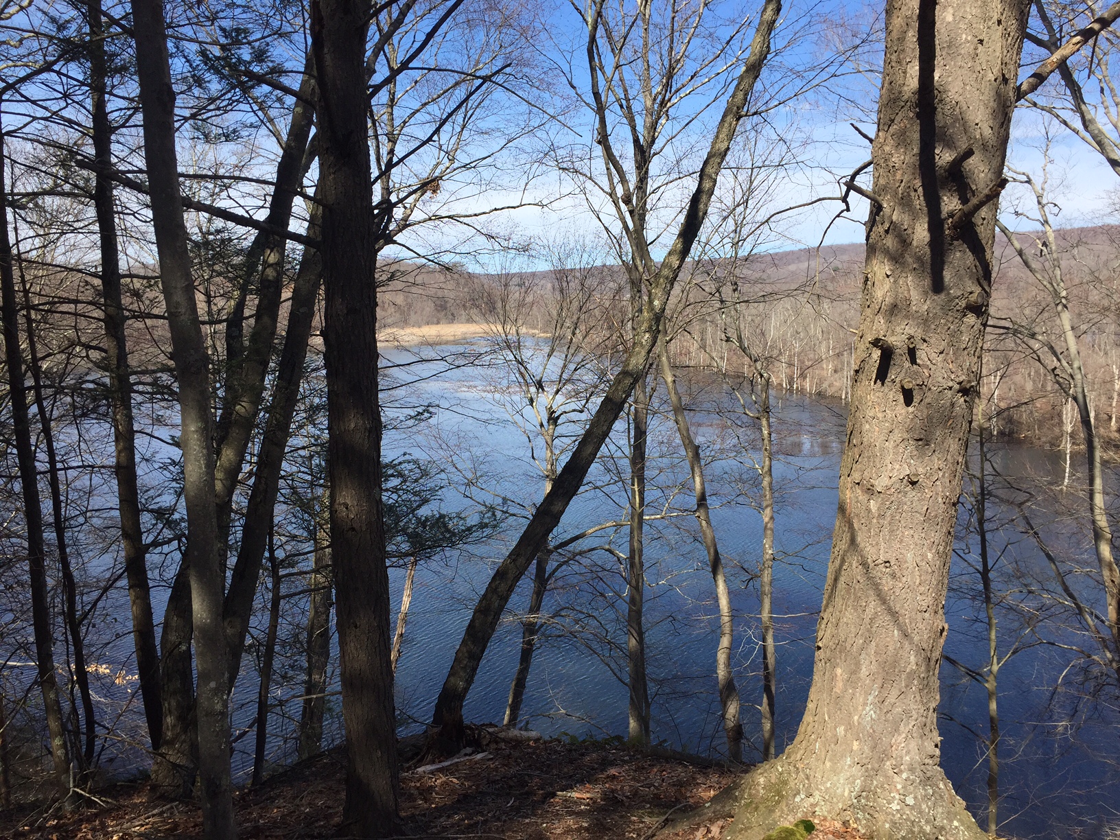 Central Connecticut Valley wetland (Middlesex County, Connecticut). Photograph by Timothy J. Walsh.
