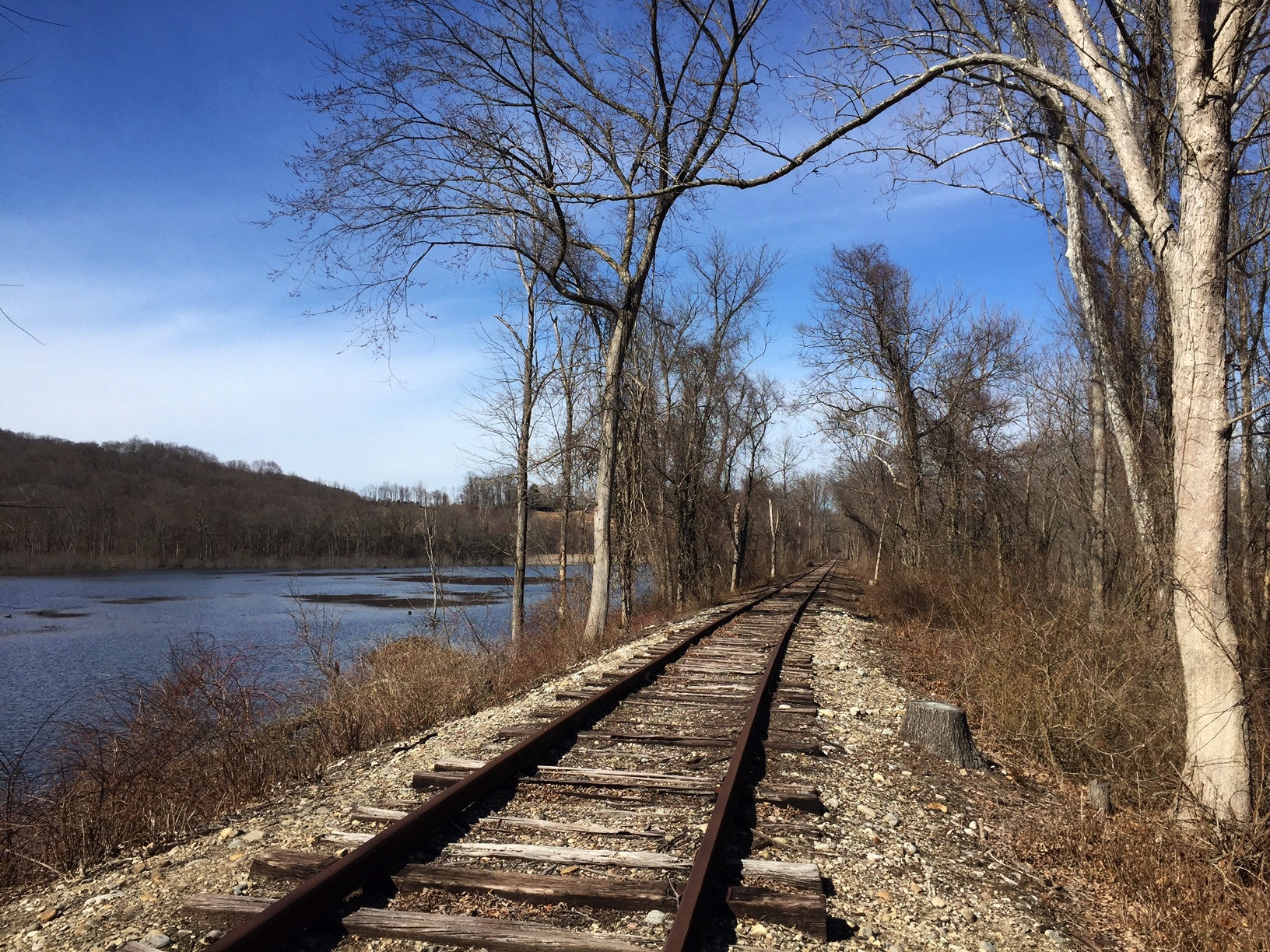 Abandoned railroad adjacent to river valley wetland (Middlesex County, Connecticut). Photograph by Timothy J. Walsh.
