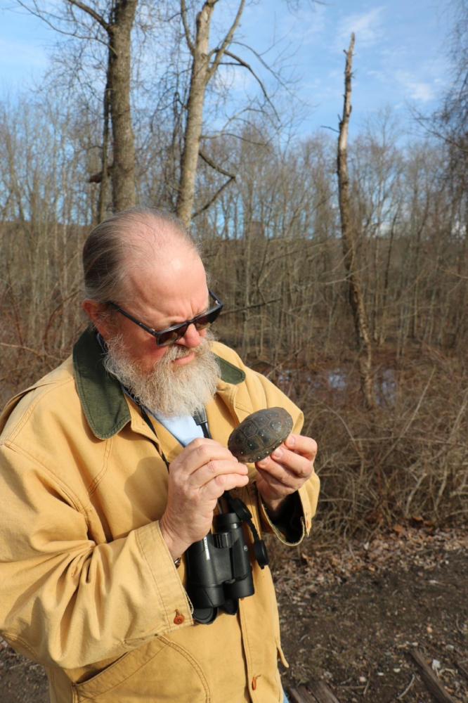 George L. Heinrich with a male spotted turtle ( Clemmys guttata ). An ephemeral wetland can be seen in the background. Photograph by Timothy J. Walsh.