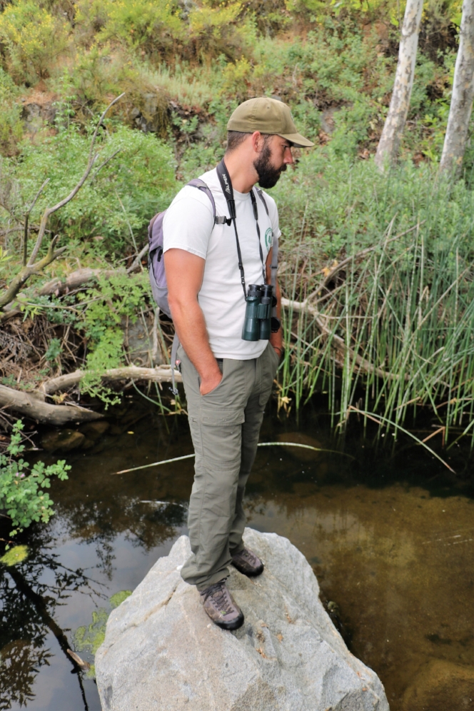 Jonathon Reinig (Riverside County Regional Park and Open-Space District) searching for western pond turtles ( Actinemys marmorata ) in Riverside County, California. Photograph by George L. Heinrich.