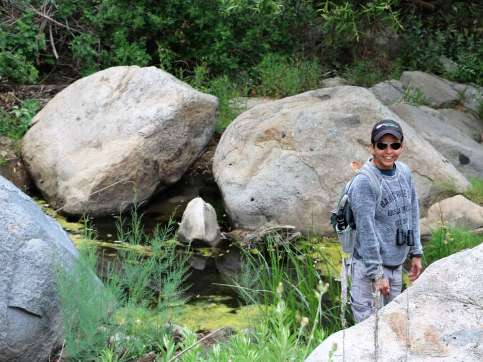 Lydia Salinas exploring western pond turtle ( Actinemys marmorata ) habitat in Riverside County, California. Photograph by George L. Heinrich.