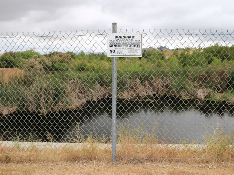 Protected site where we located species #22: western pond turtle ( Actinemys marmorata ) in Riverside County, California. Photograph by George L. Heinrich.