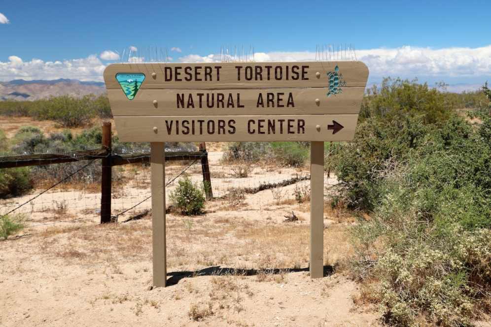 Entrance to the Desert Tortoise Natural Area (California City, California). Photograph by George L. Heinrich.