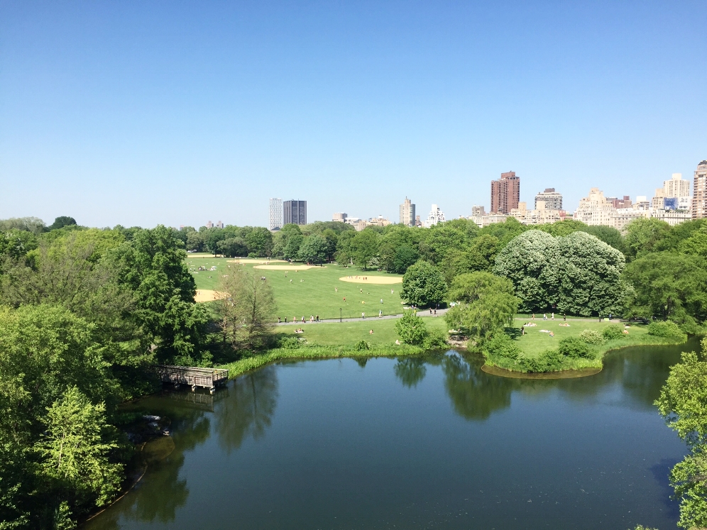 A view of Turtle Pond (Central Park, NYC) from Belvedere Castle with the South Lawn and Mannhattan in the background. Photograph by Timothy J. Walsh.