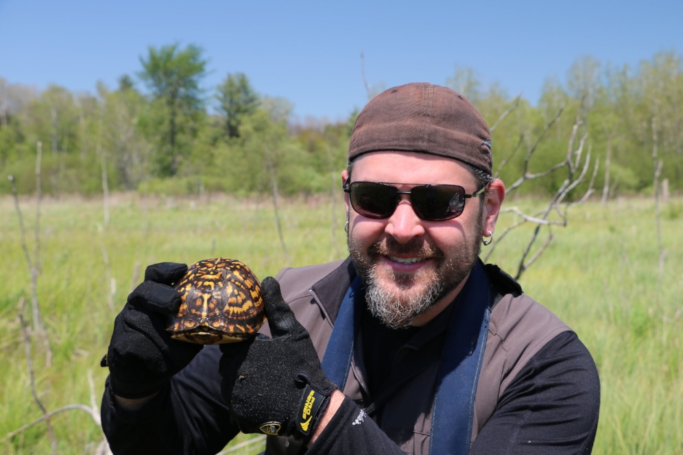 James Krause holding an eastern box turtle ( Terrapene c. carolina ) in southwestern Michigan. Photograph by George L. Heinrich.